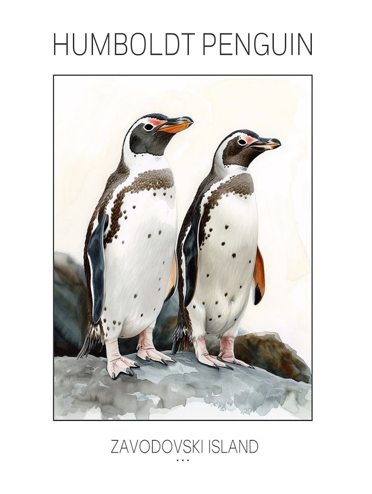 Humboldt Penguin Zavodovski Island Watercolour Painting 3 Poster
