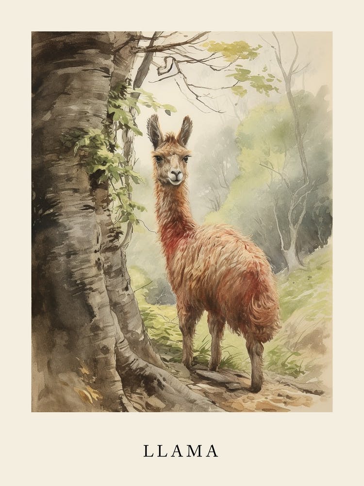 Beatrix Potter Inspired  Animal Watercolour Llama 4