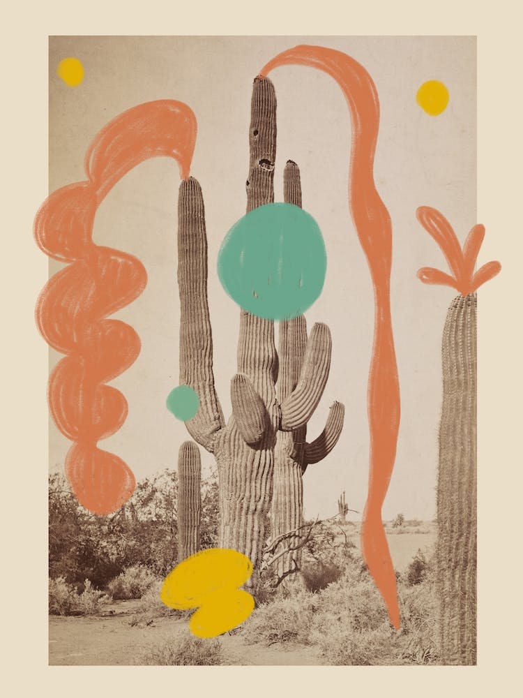 Happy Cactus In A Desert Landscape