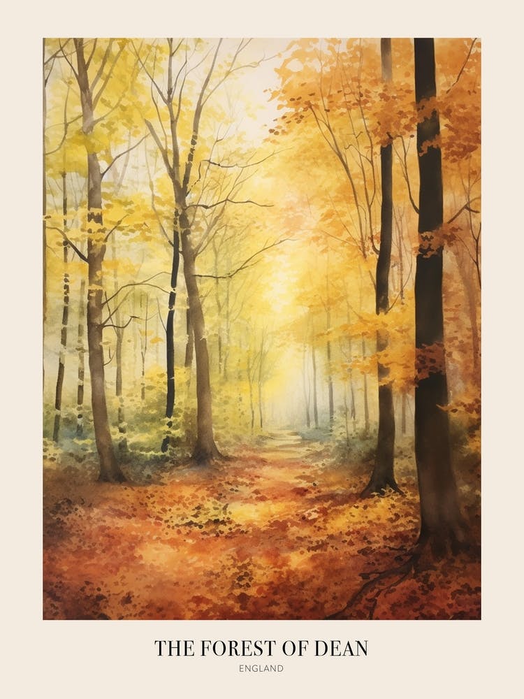 Autumn Forest Landscape The Forest Of Dean England Poster