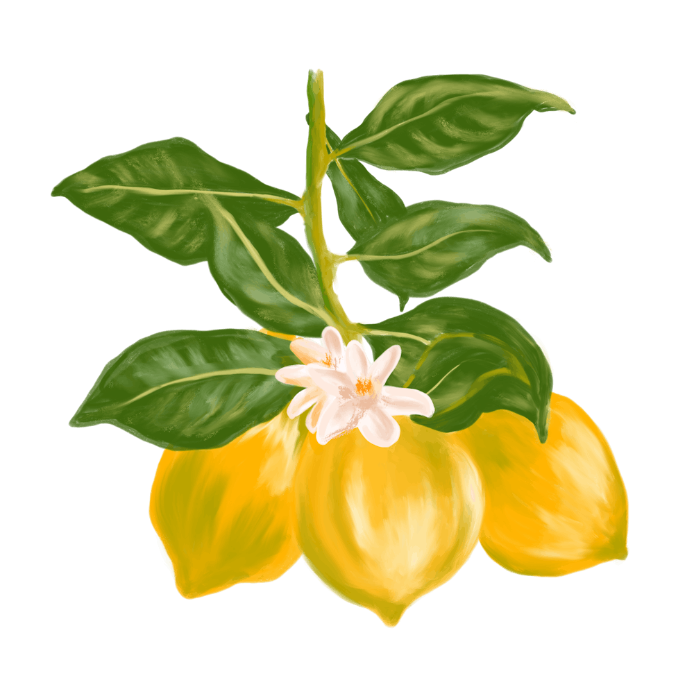 Bold acrylic painting of lemon tree branch