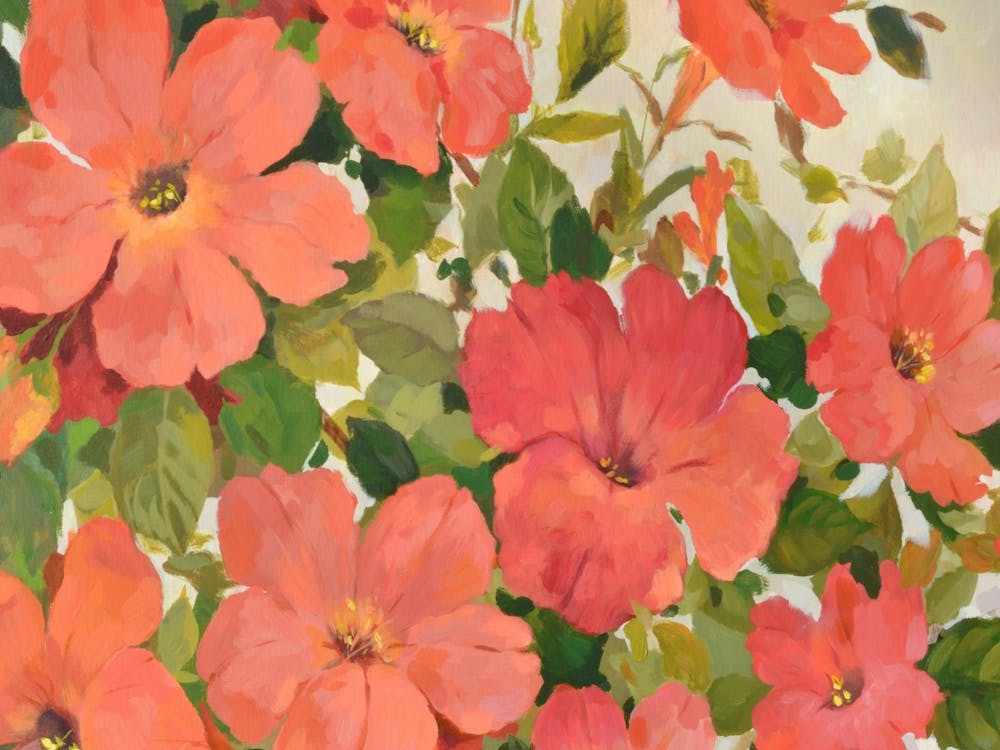 Saratoga Flowers