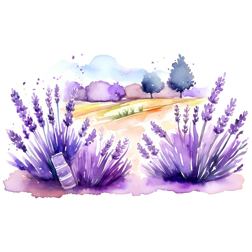 Watercolor Lavender Field