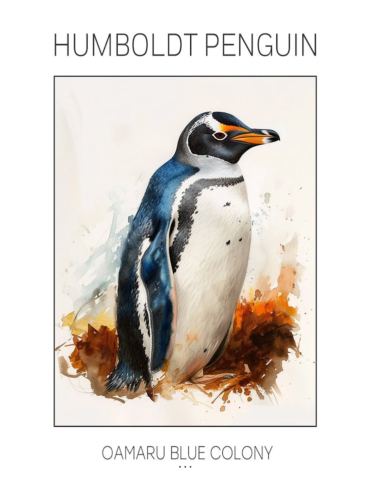 Humboldt Penguin Oamaru Blue Penguin Colony Watercolour Painting 3 Poster