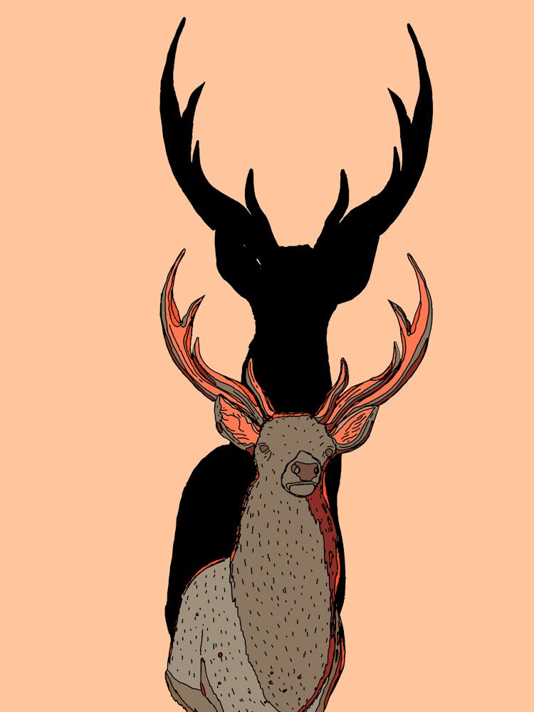 Stag And Deer