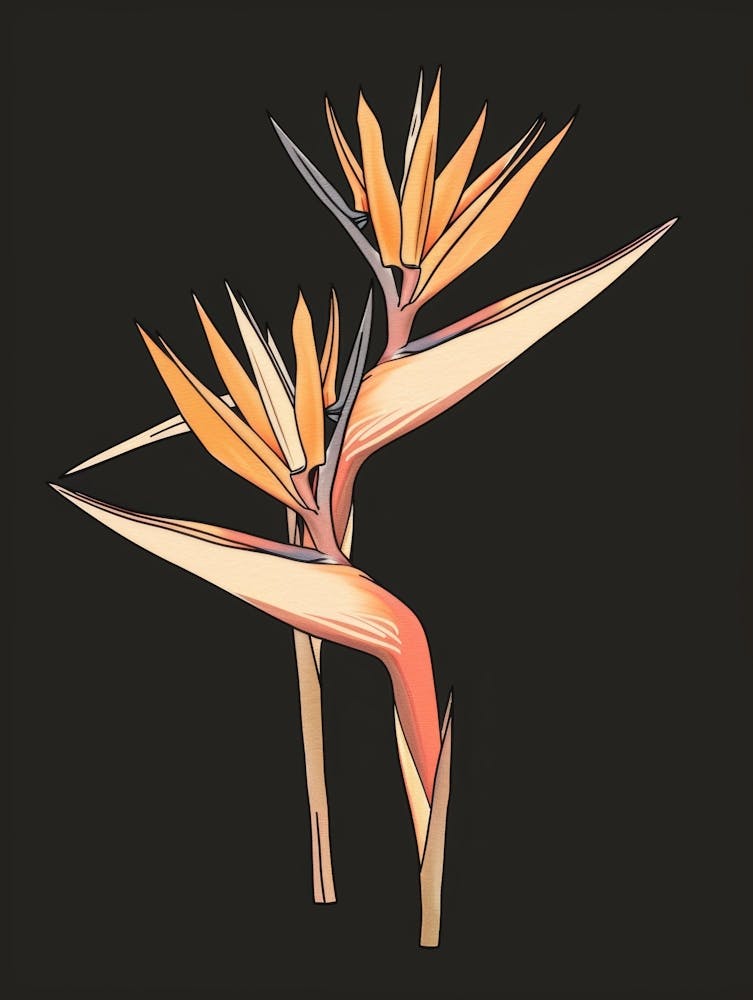 Bird Of Paradise 73