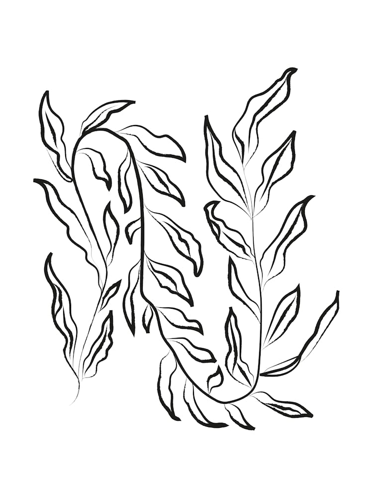 Harmonic lines no 86 1