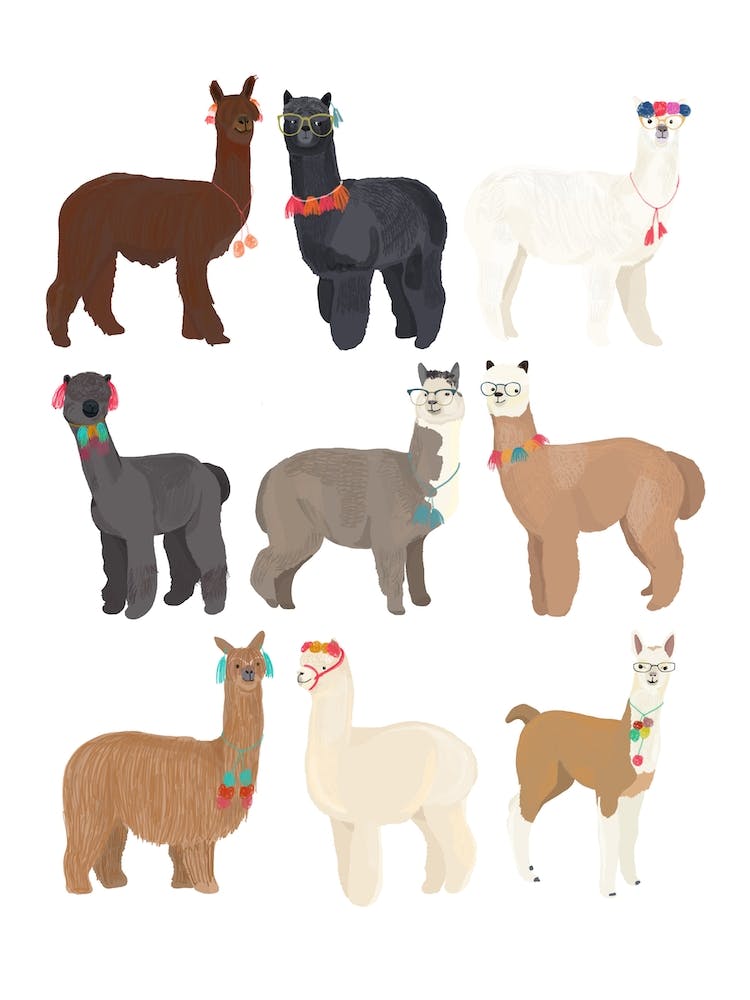 Stehende Lamas mit Brille