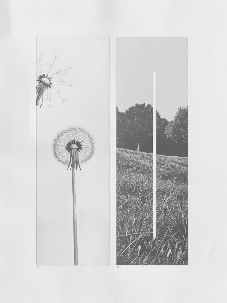 Dandelion Flower Photo Collage 1