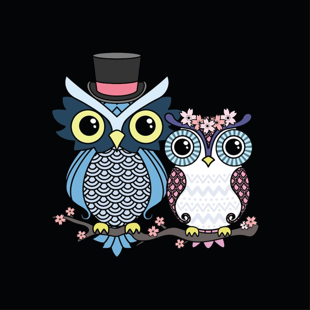 Owl Love Square