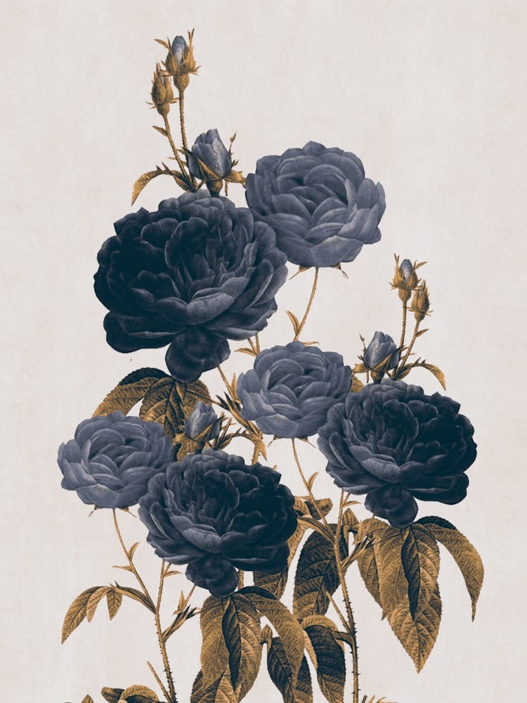 Blue Flowers