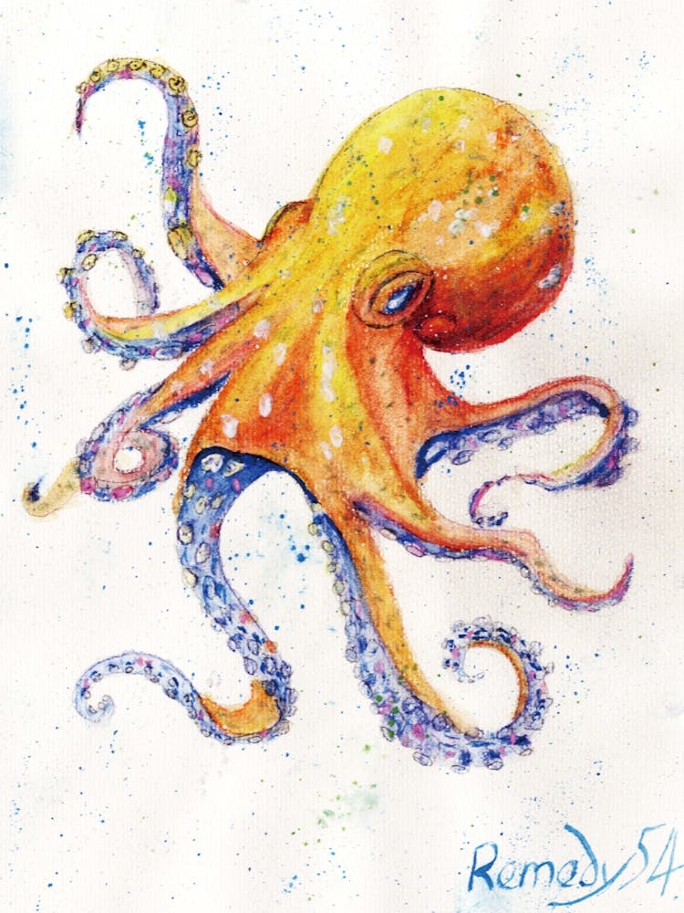 Watercolour Octopus by Remedy 54