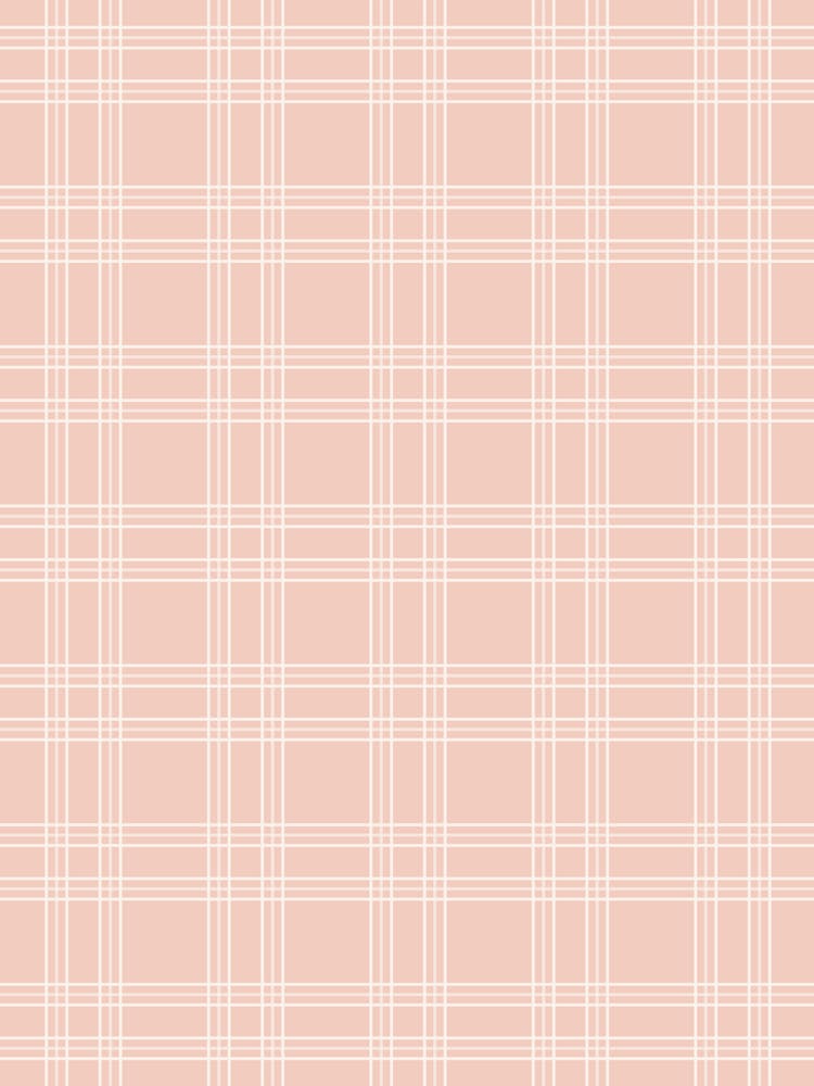 Blush Pink Gingham