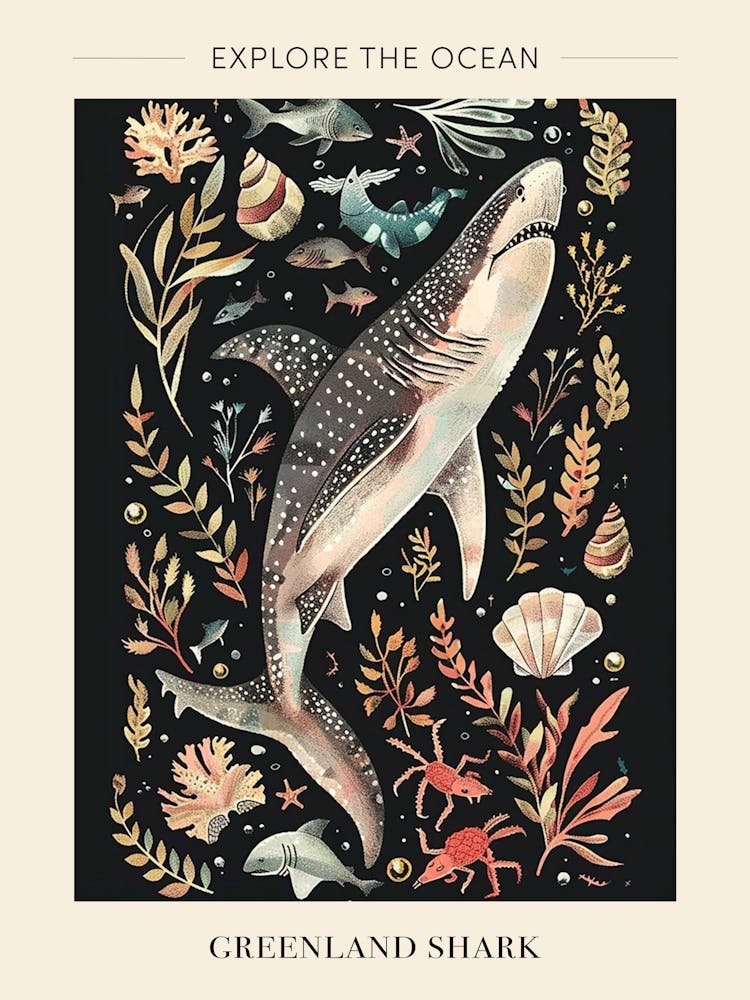Greenland Shark Seascape Black Background Illustration 1 Poster
