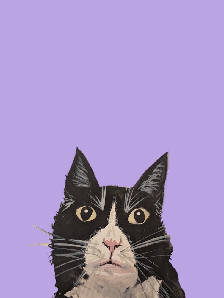 Annoyed Black Cat Watercolour Illustration