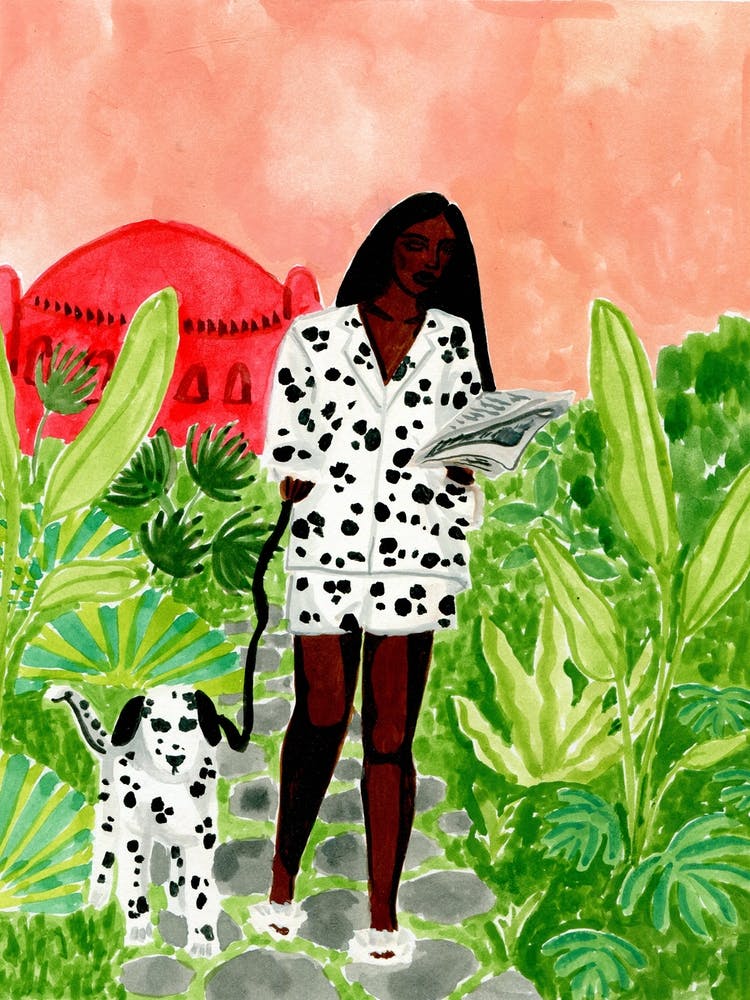 Dalmations