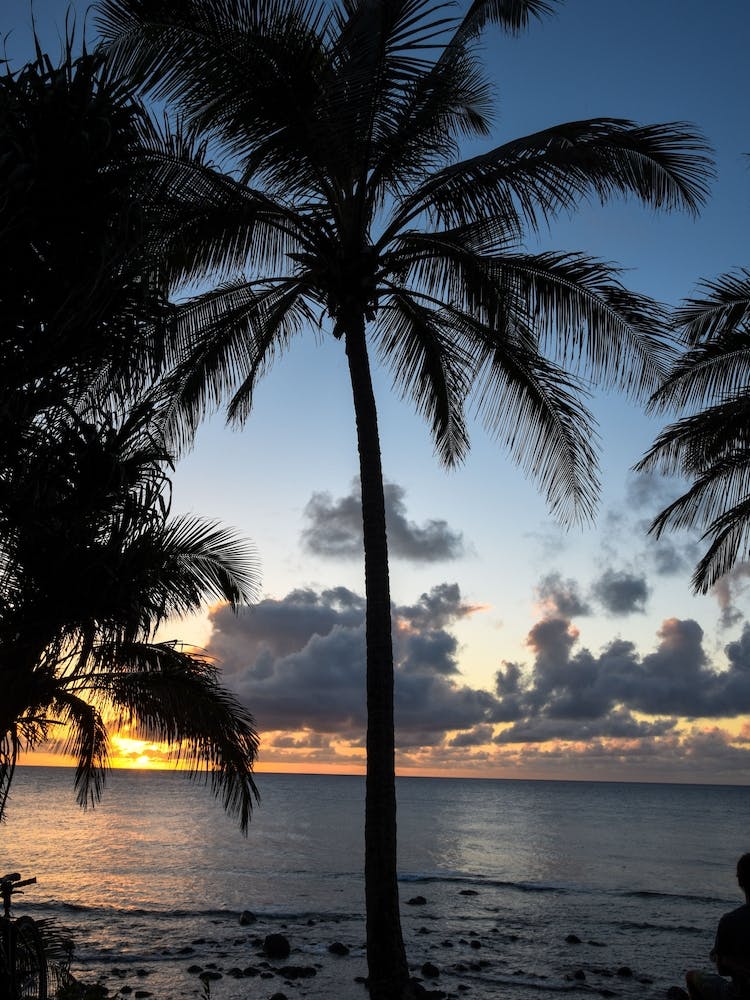 Sunset Stock Videos & Royalty-Free Footage