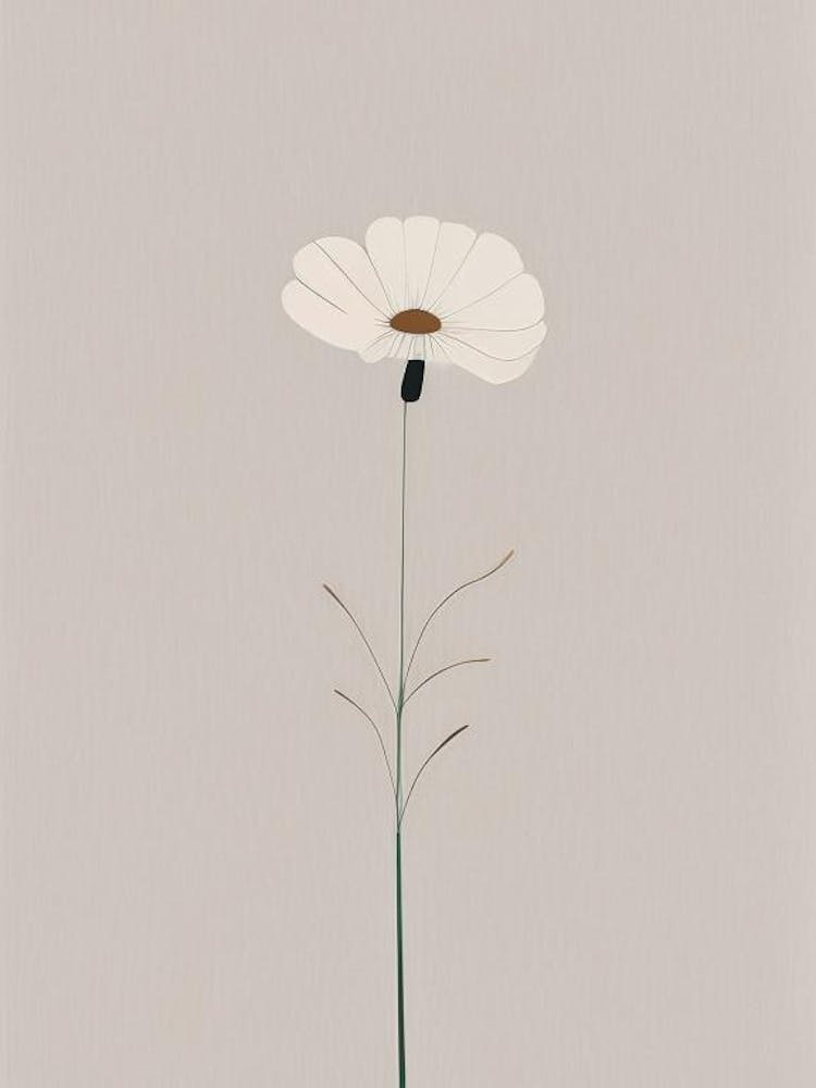 Cosmos Wildflower Simplicity