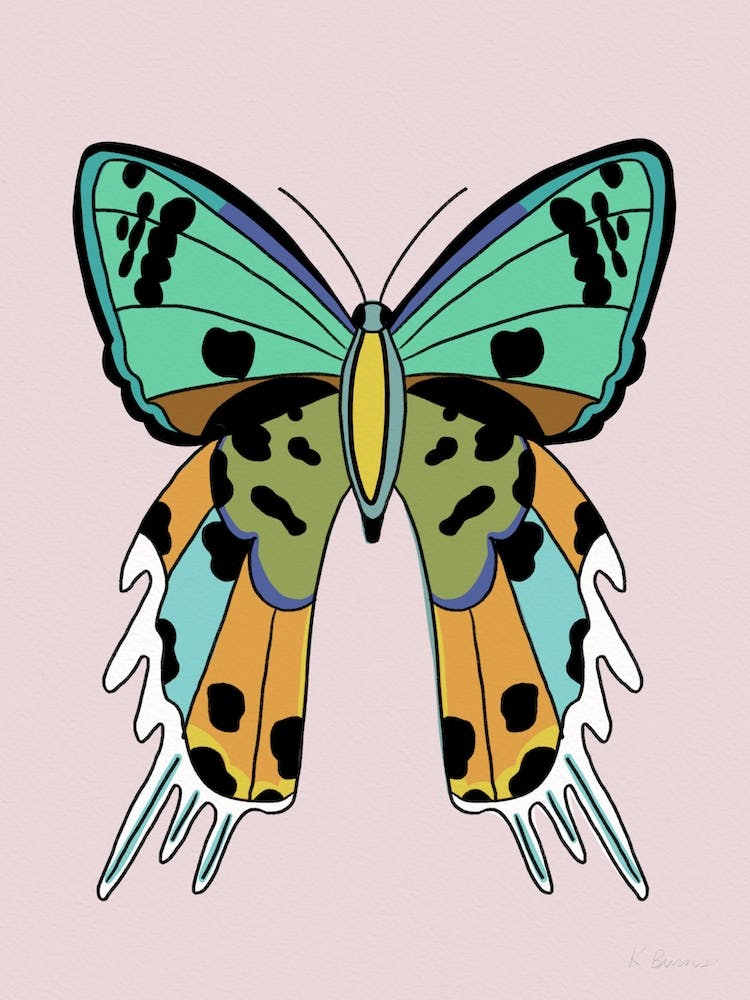 Papillon Coloré