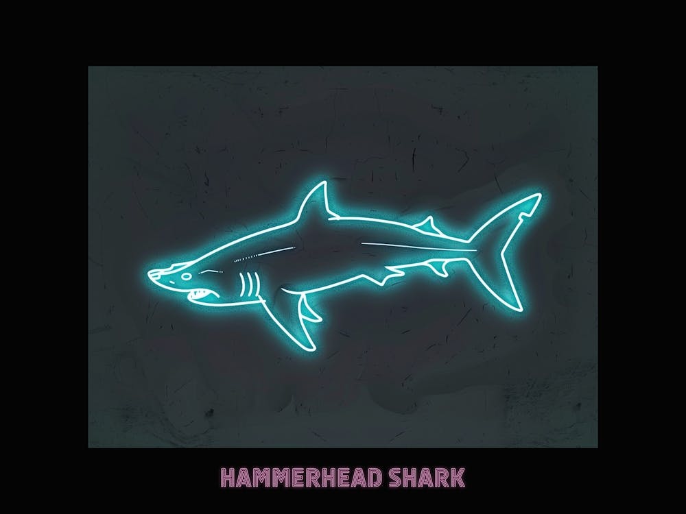 Pink Aqua Hammerhead Shark Poster 3