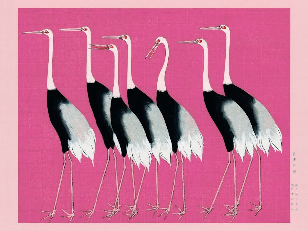 Pink Japanese Cranes