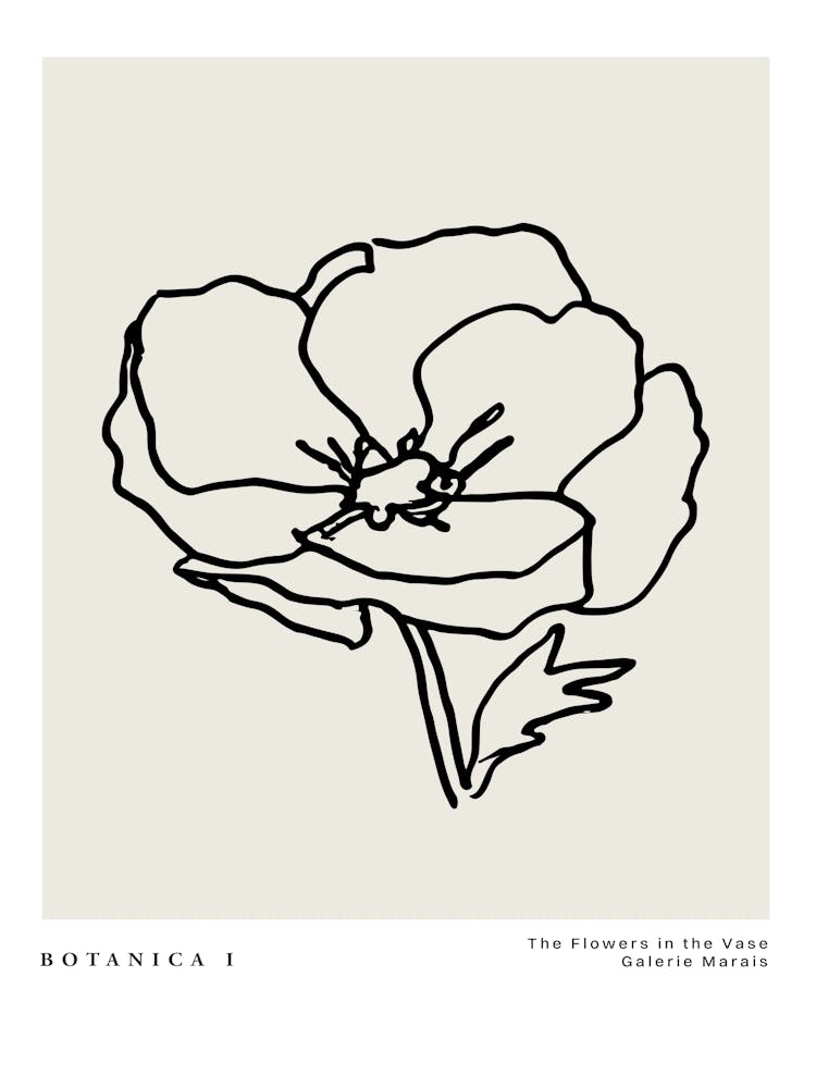 Botanica line no 29