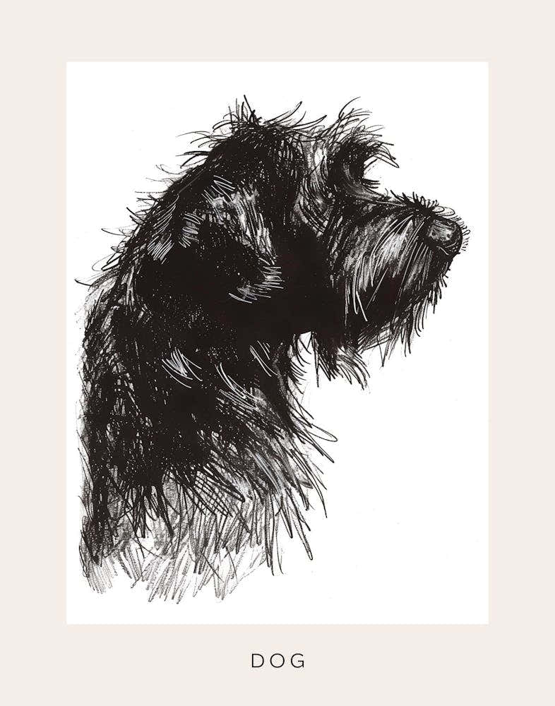 Long Hair Furry Dog Line Sketch 2 Poster
