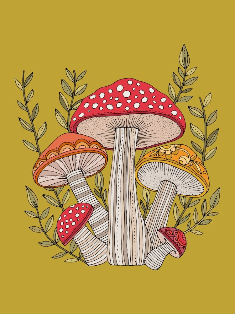 Mushrooms Forest