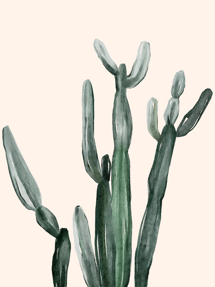 Cactus 9