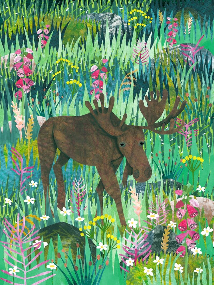 Moose In The Meadow
