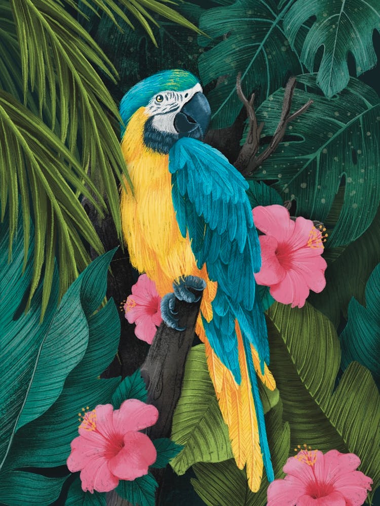 Blue and yellow macaw tropical bird
