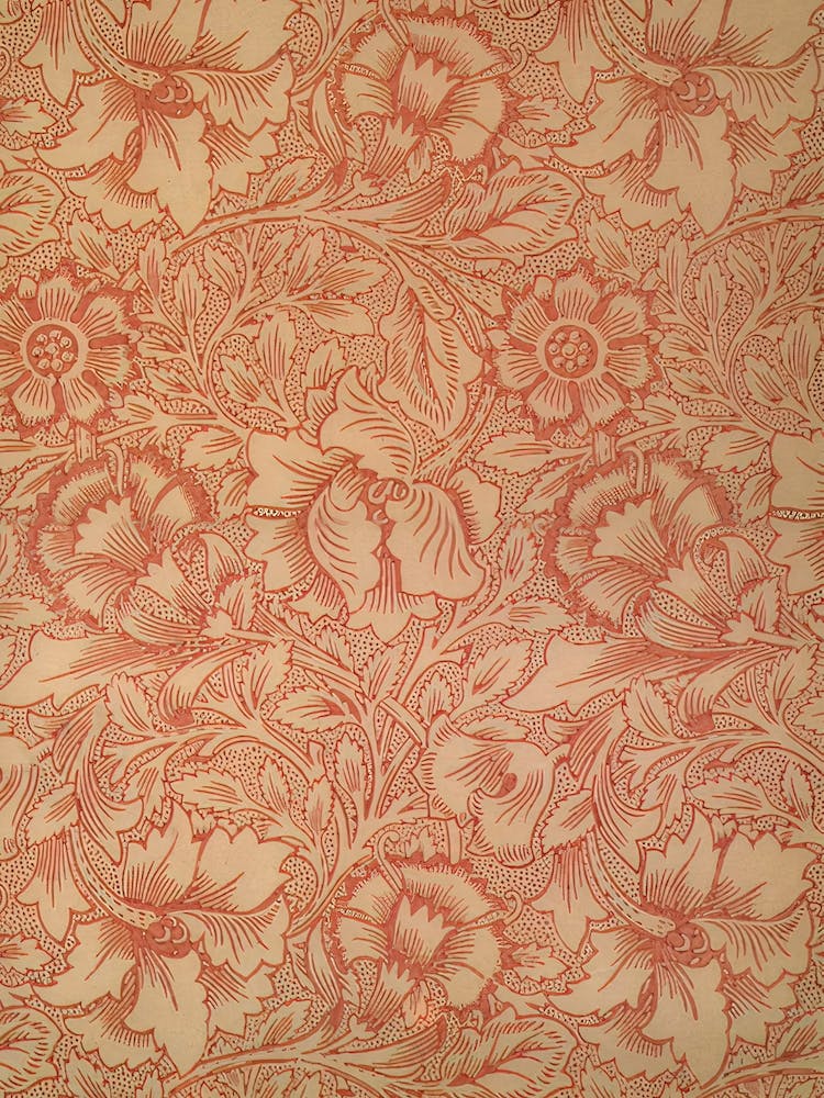 Pink Poppy, William Morris