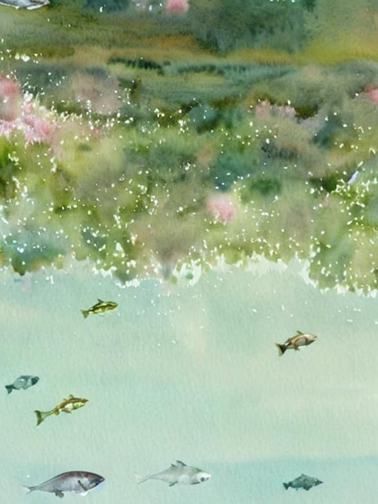 Northern Krill II Storybook Watercolour