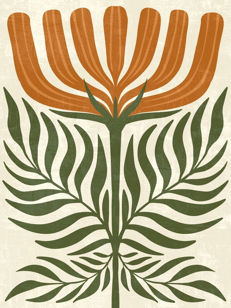 Flora Of South Africa