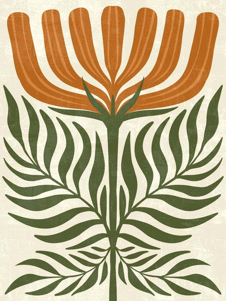 Flora Of South Africa