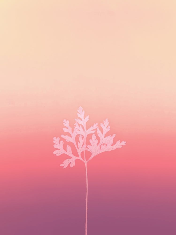 Abstract Boho Minimalist Sunset Art