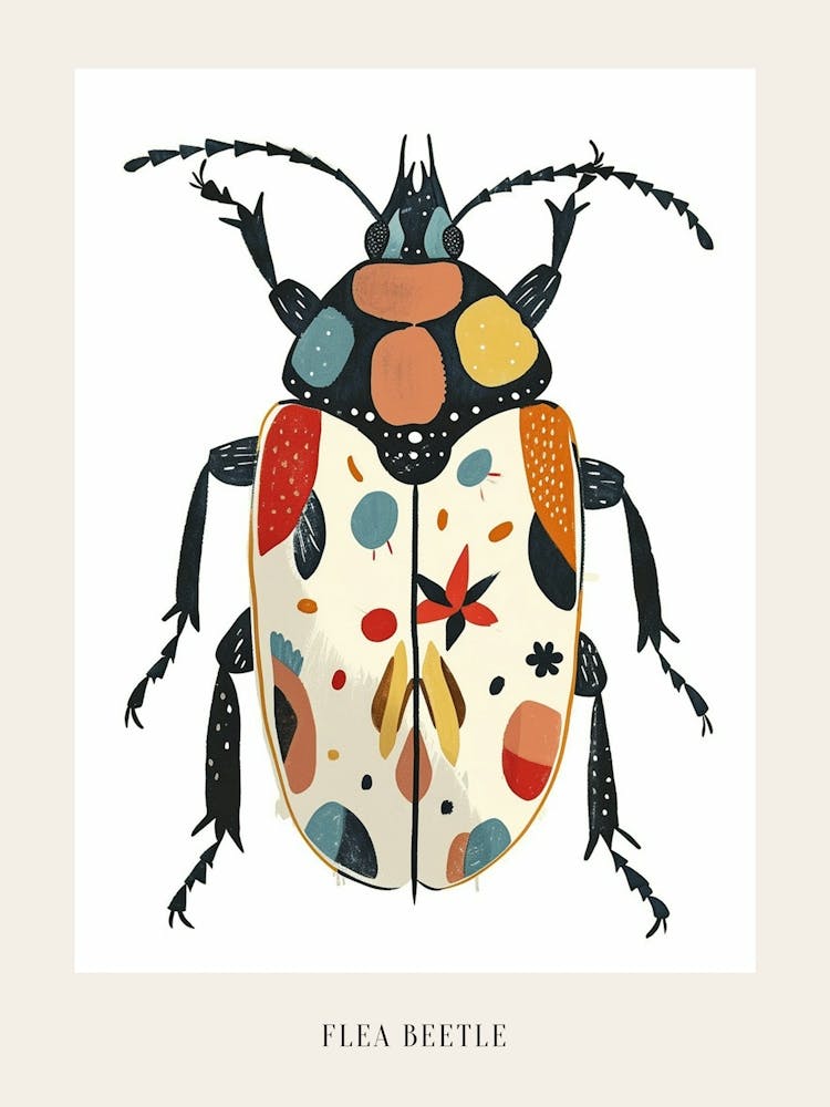 Colourful Insect Illustration Flea Beetle 19 Poster