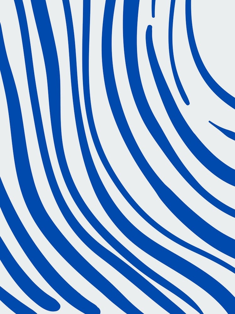 Blue Zebra Stripes 1