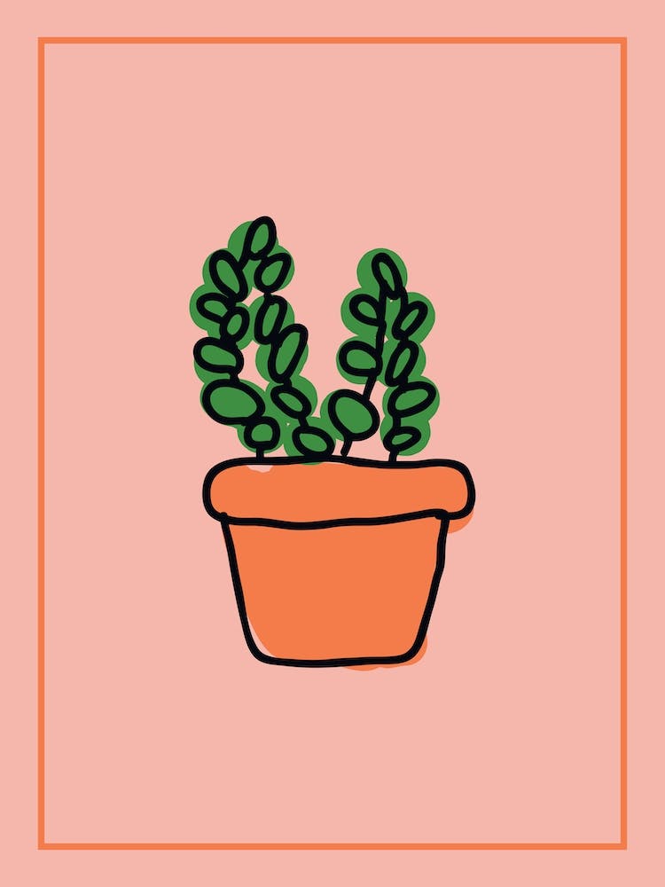 Plant Pink & Orange