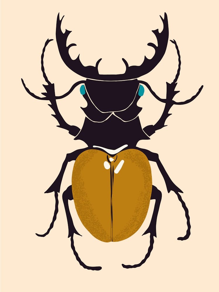 Horned Bug Art