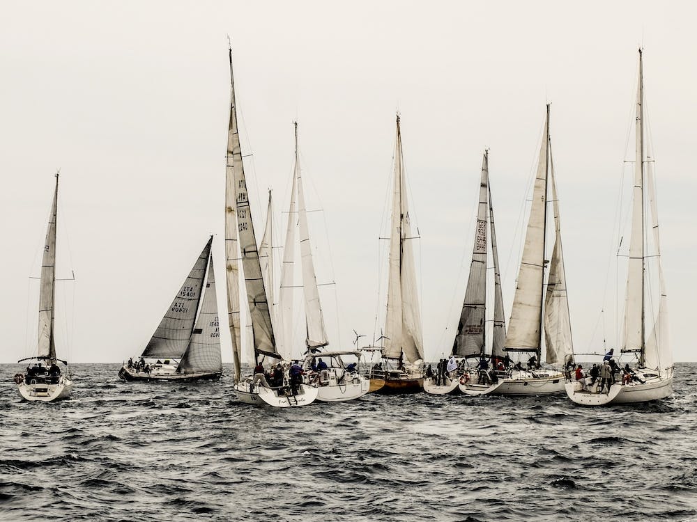 Sailboat Regatta