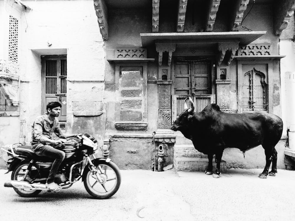 Jodhpur India B&W