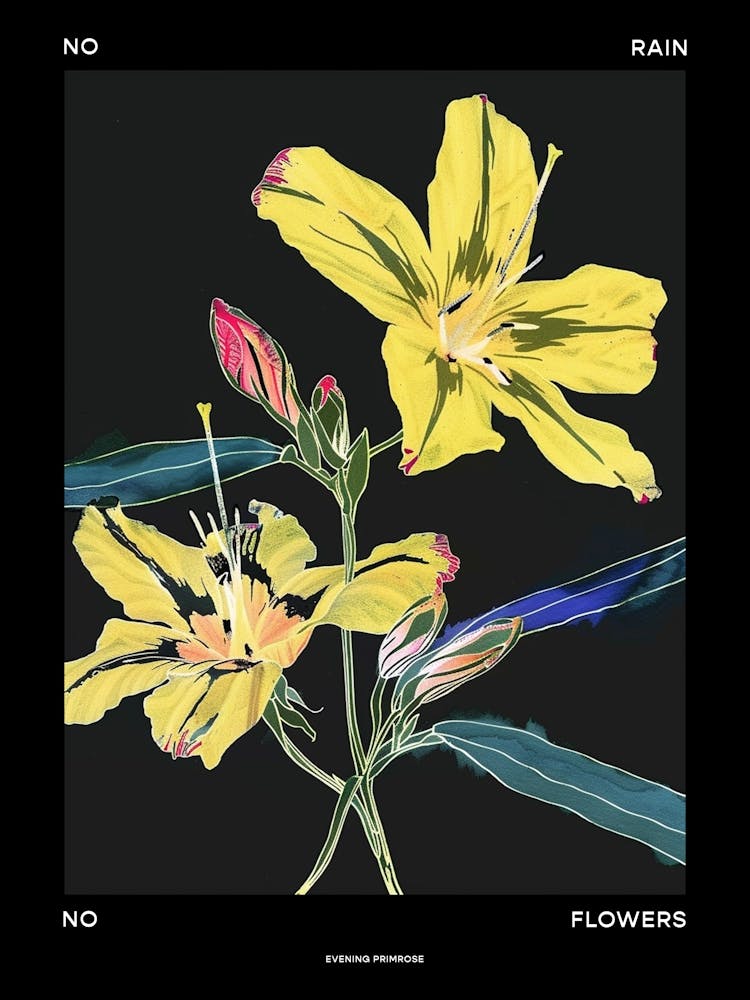 No Rain No Flowers Poster Evening Primrose 3