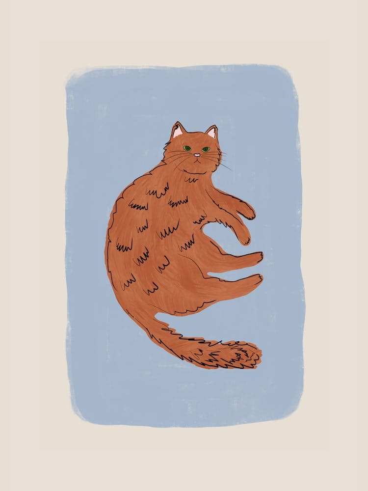Ginger Cat