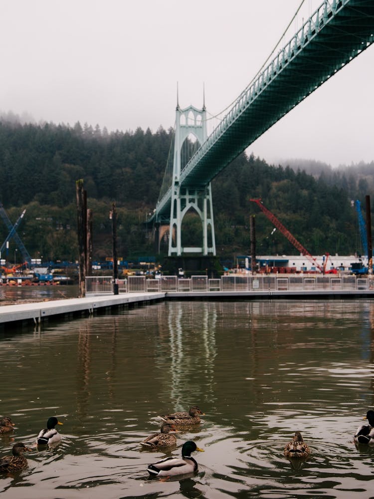 St Johns Portland Oregon Ducks