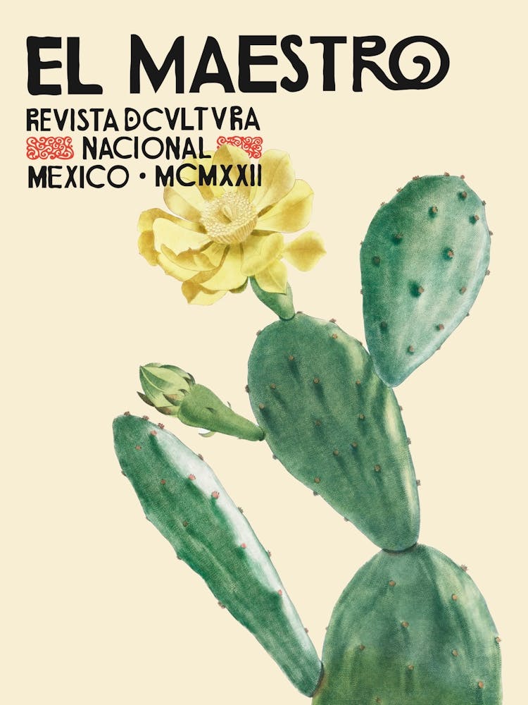 Mexican El Maestro Prickle Pear Cacuts Flower 1