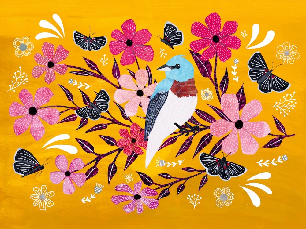 Blue Bird On A Yellow Background