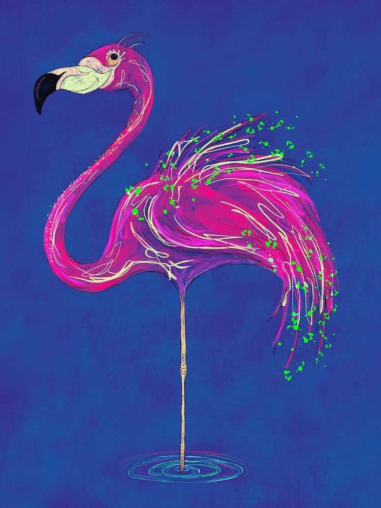 Flamingo
