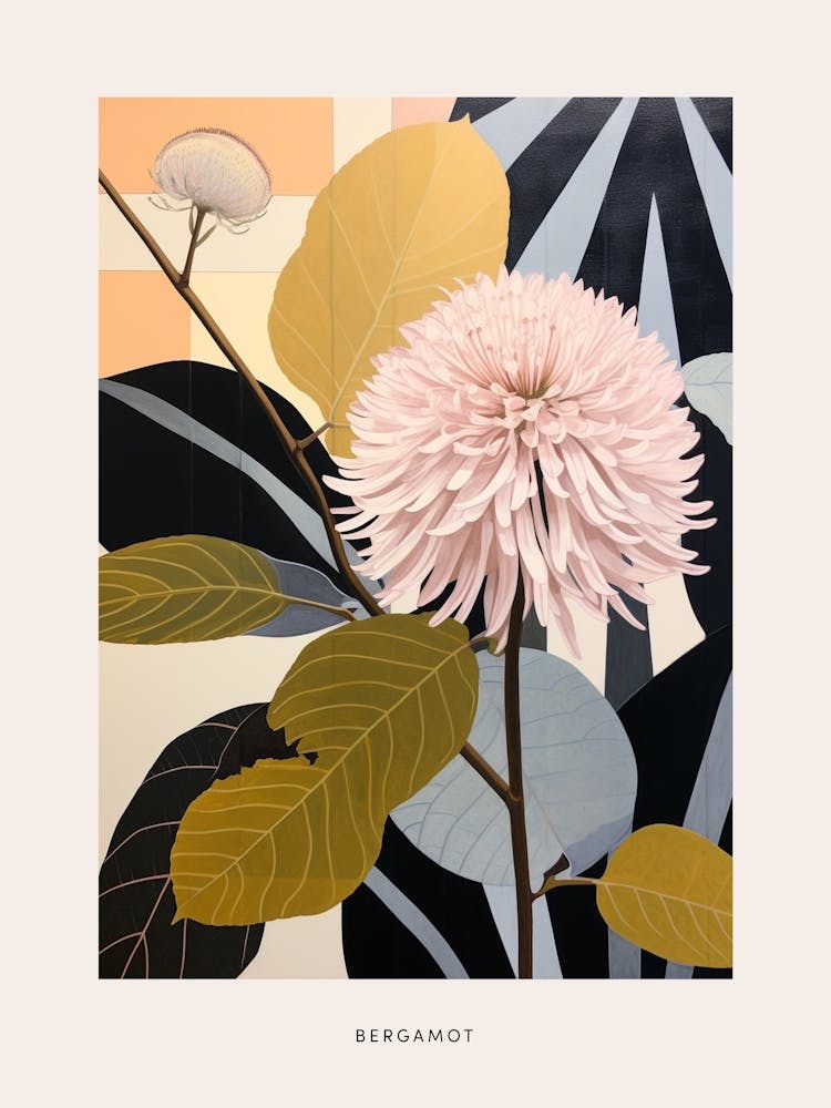Flower Illustration Bergamot 2 Poster