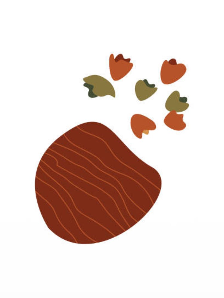 Acorns